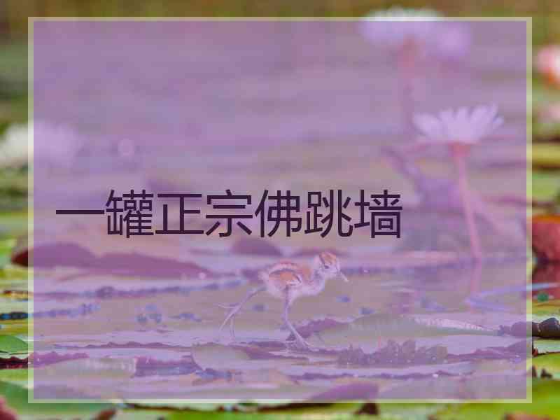 一罐正宗佛跳墙