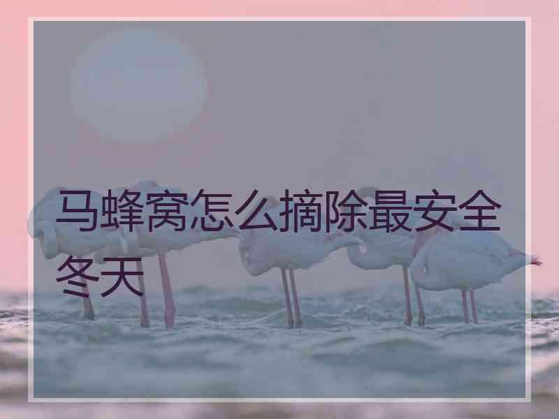 马蜂窝怎么摘除最安全冬天