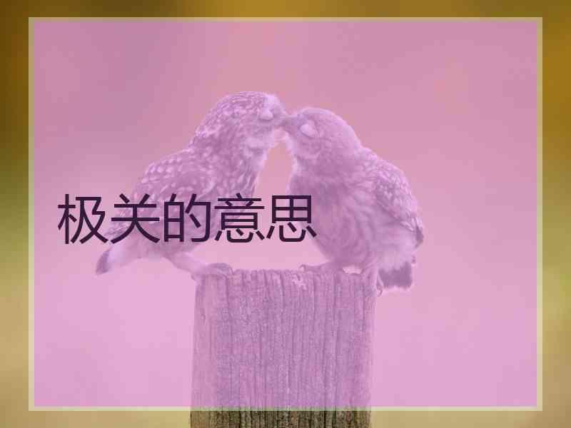 极关的意思