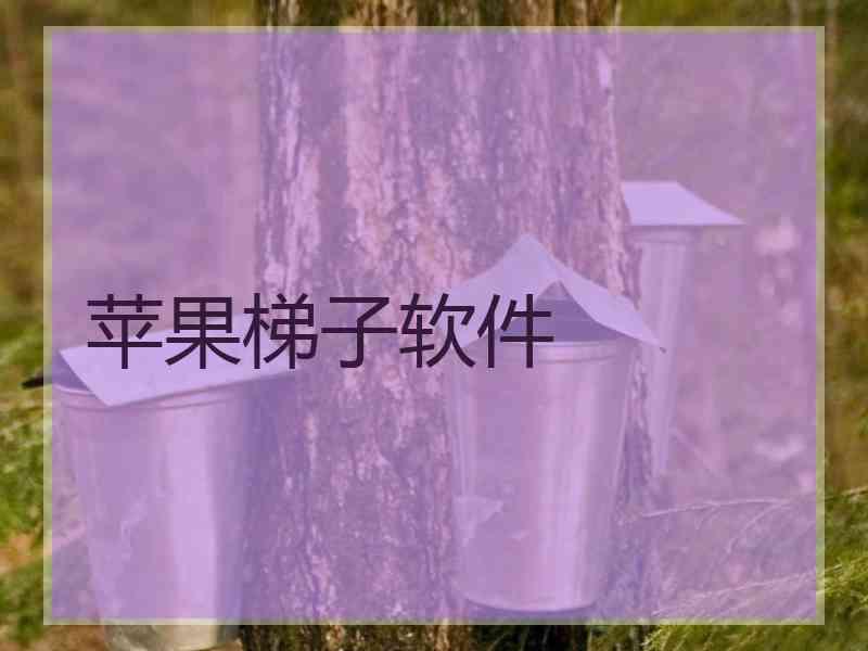 苹果梯子软件