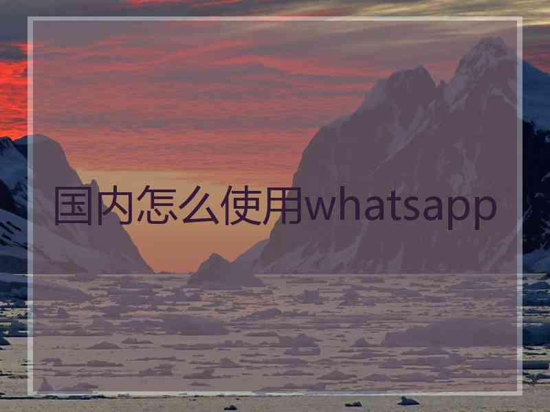 国内怎么使用whatsapp