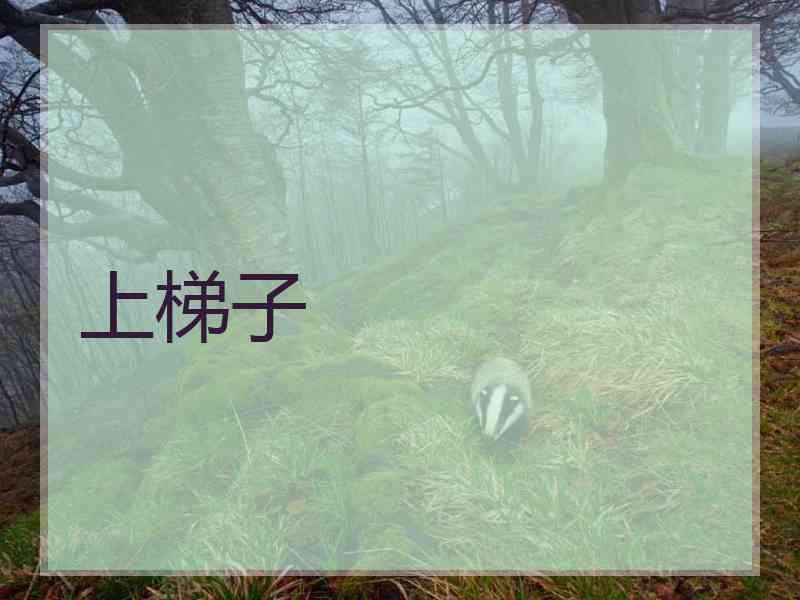 上梯子