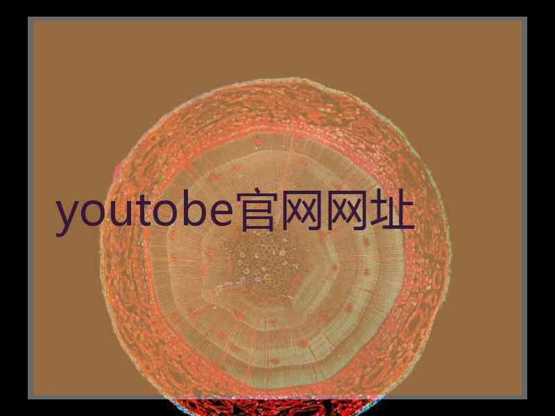 youtobe官网网址
