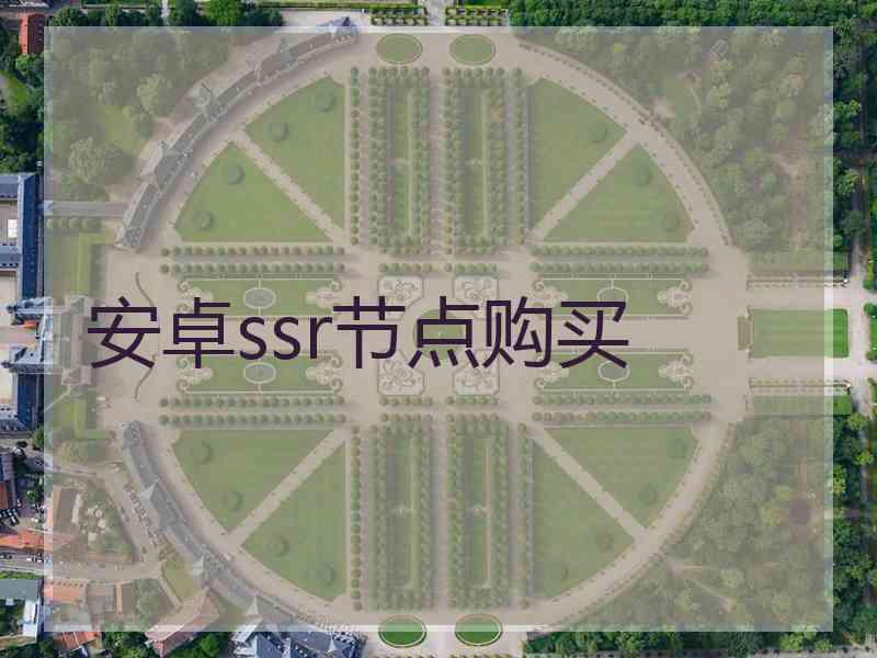 安卓ssr节点购买