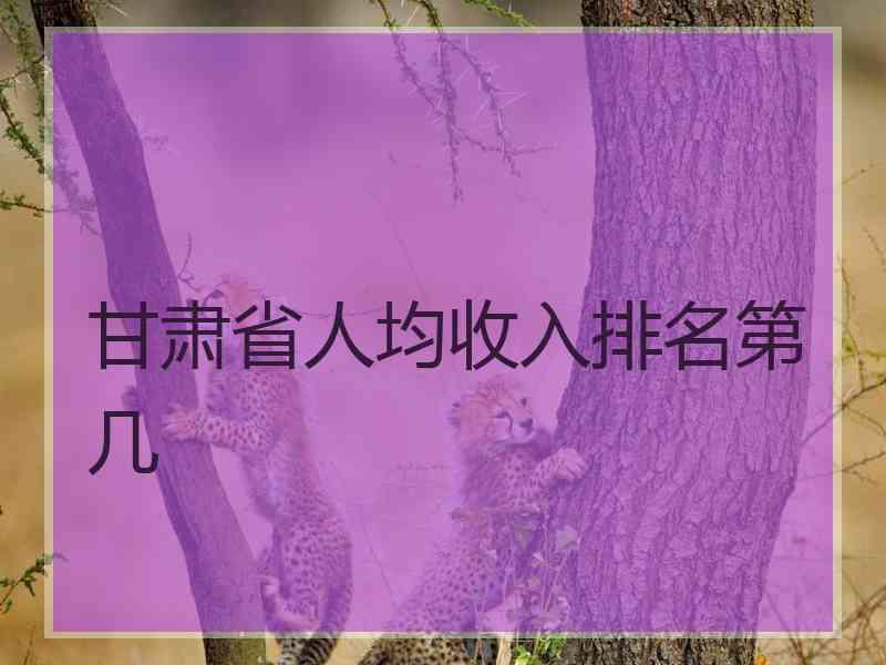 甘肃省人均收入排名第几