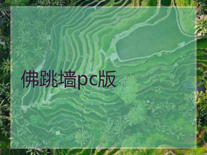 佛跳墙pc版
