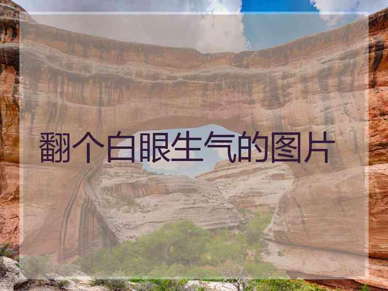 翻个白眼生气的图片