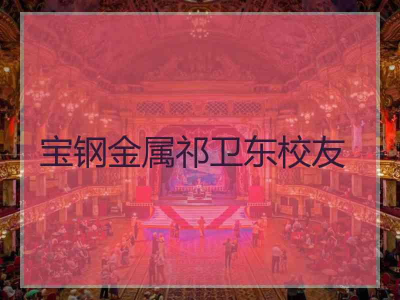 宝钢金属祁卫东校友