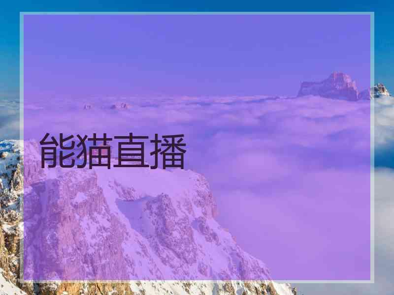 能猫直播