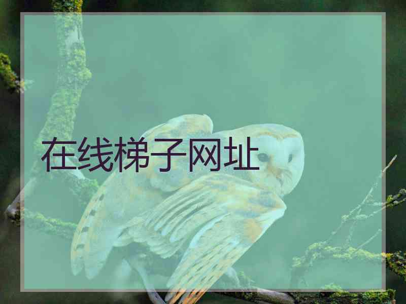 在线梯子网址