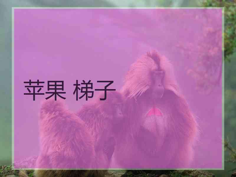 苹果 梯子