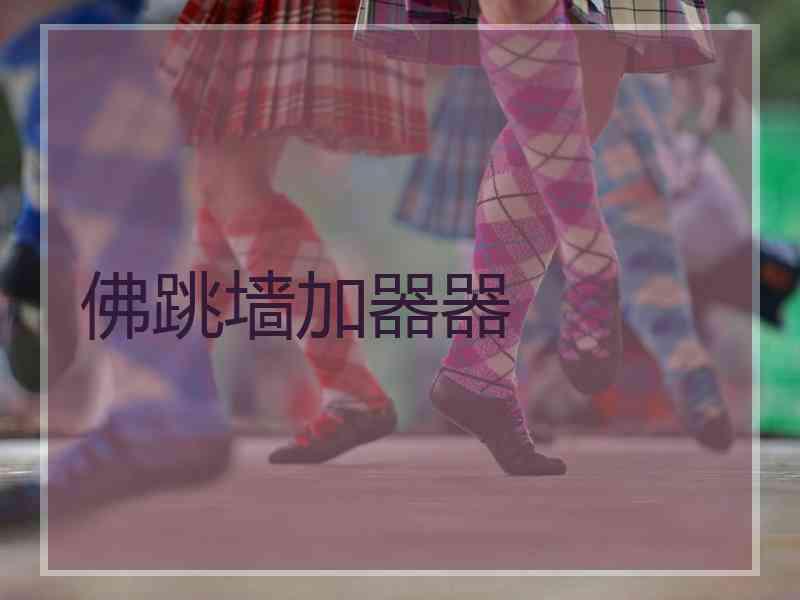佛跳墙加器器