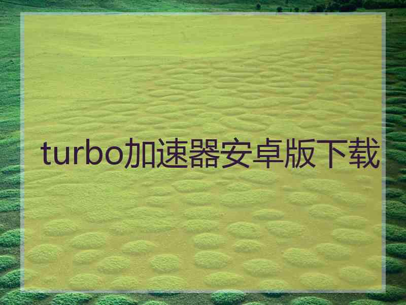 turbo加速器安卓版下载