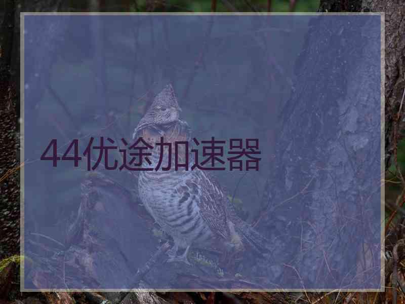 44优途加速器