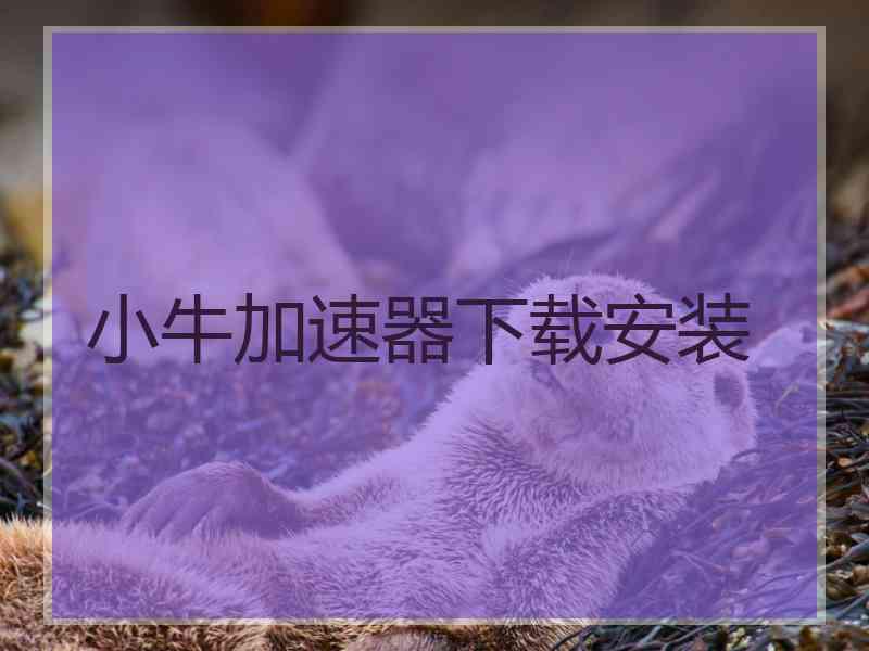 小牛加速器下载安装