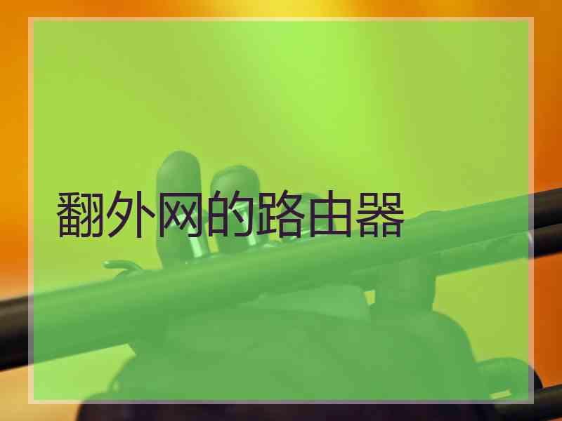 翻外网的路由器