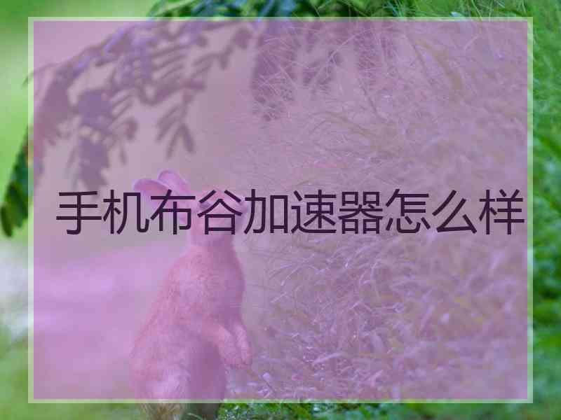 手机布谷加速器怎么样
