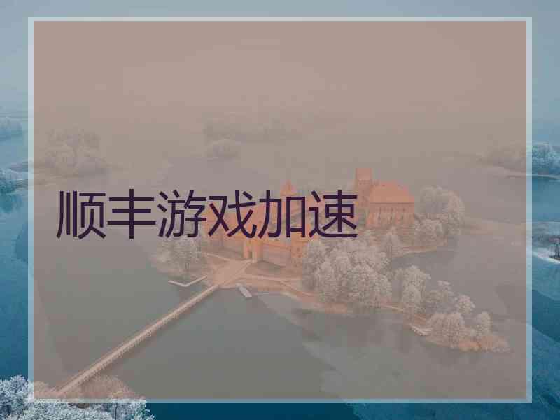 顺丰游戏加速