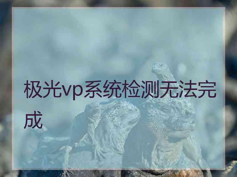极光vp系统检测无法完成