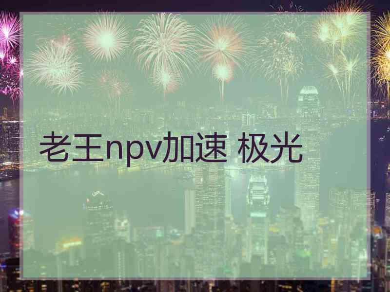 老王npv加速 极光