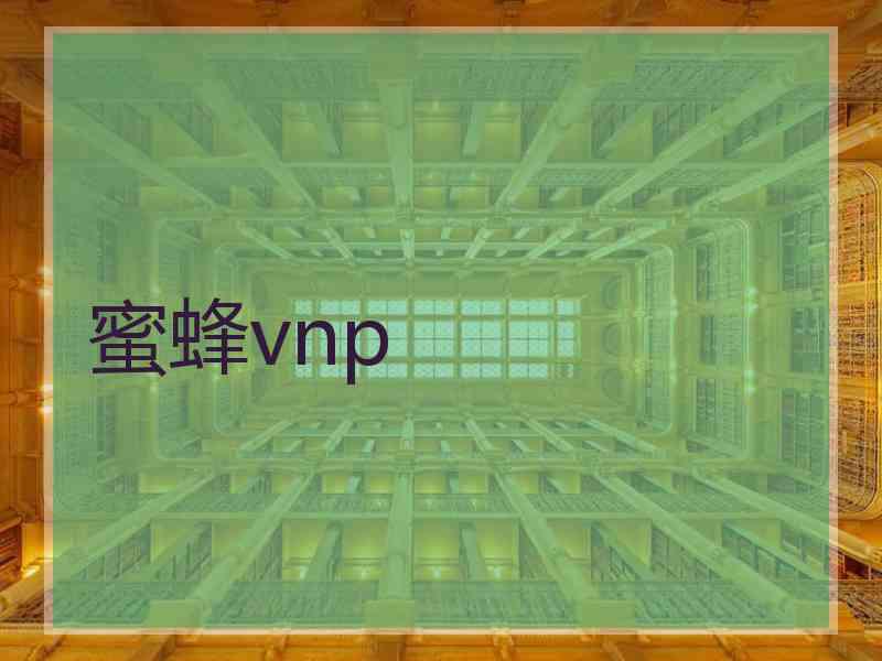 蜜蜂vnp