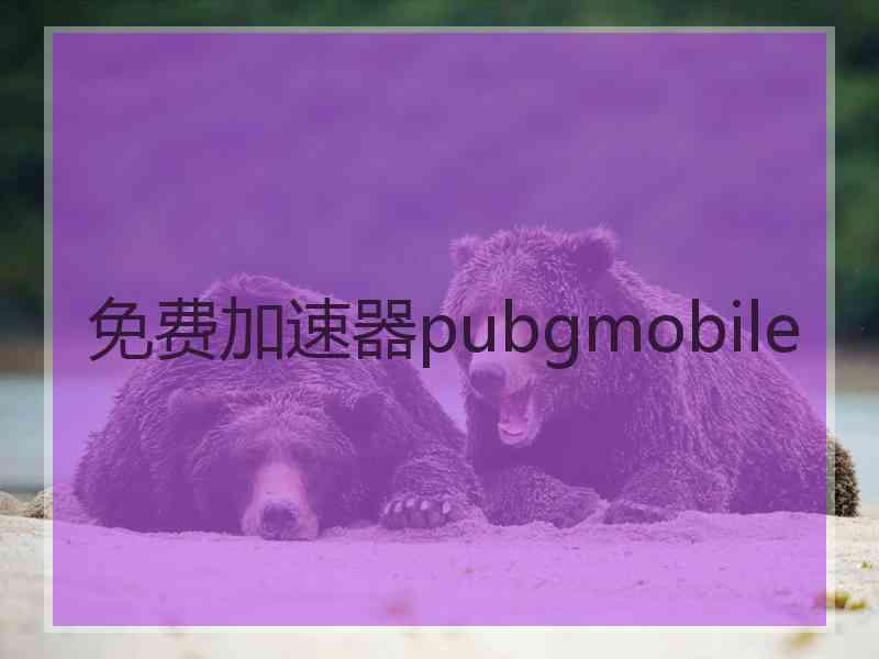 免费加速器pubgmobile