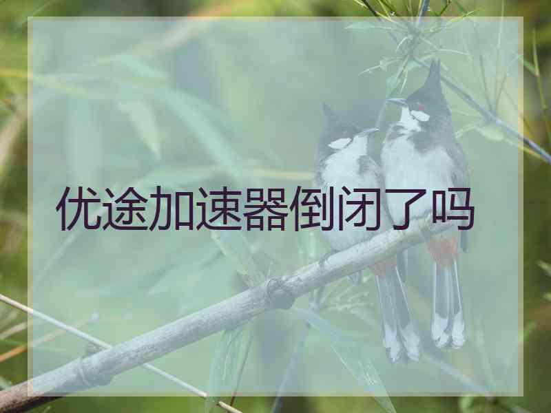 优途加速器倒闭了吗