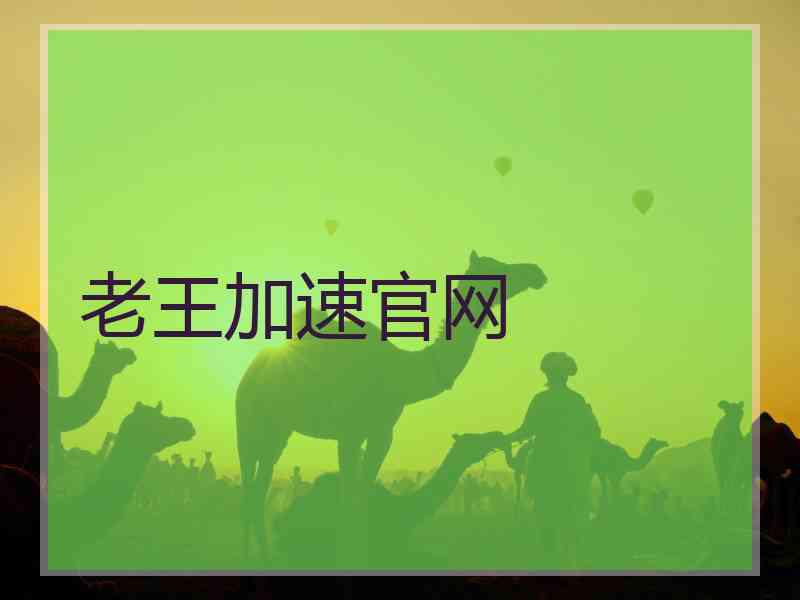 老王加速官网