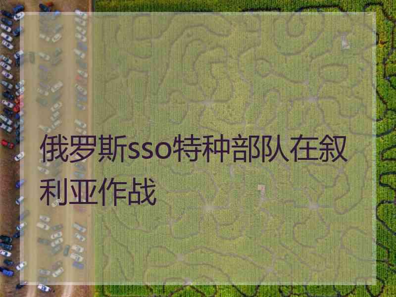 俄罗斯sso特种部队在叙利亚作战