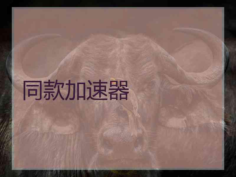 同款加速器