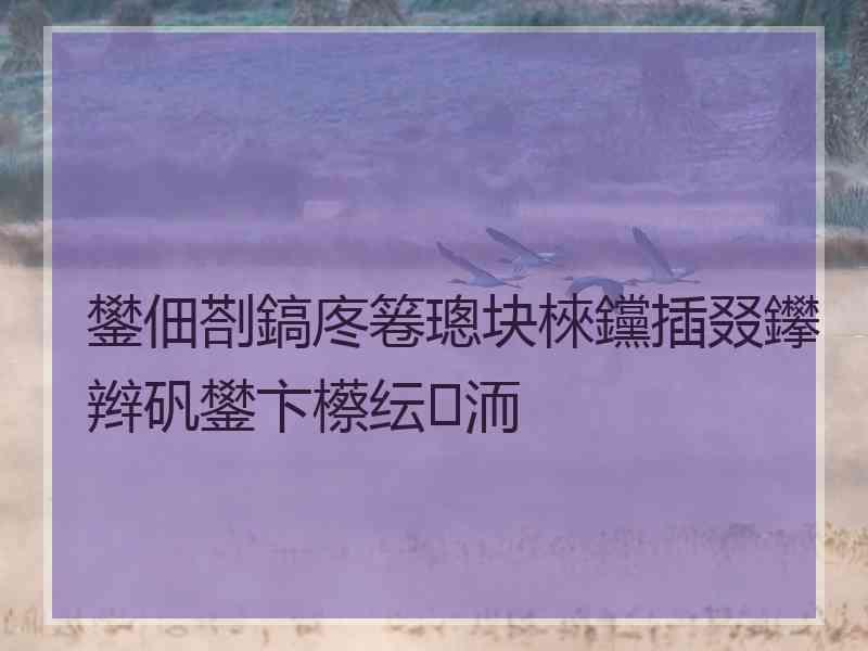 鐢佃剳鎬庝箞璁块棶钂插叕鑻辫矾鐢卞櫒纭洏