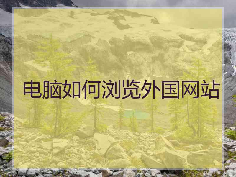 电脑如何浏览外国网站