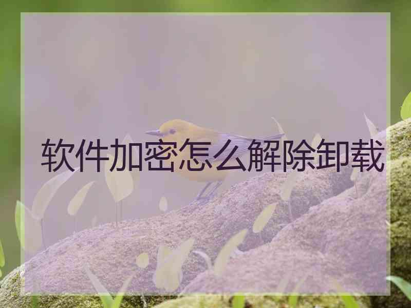 软件加密怎么解除卸载