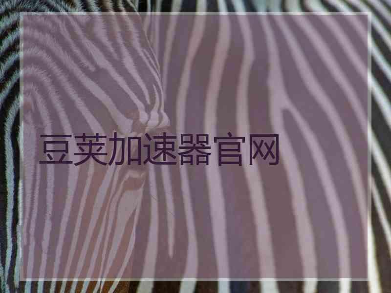 豆荚加速器官网