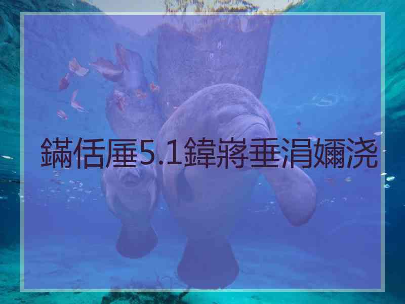 鏋佸厜5.1鍏嶈垂涓嬭浇