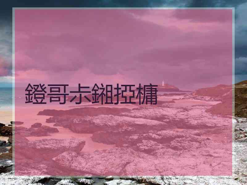 鐙哥尗鎺掗槦