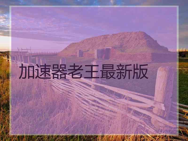 加速器老王最新版
