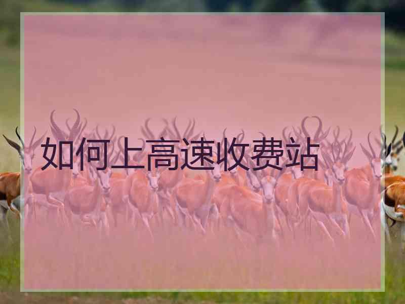如何上高速收费站