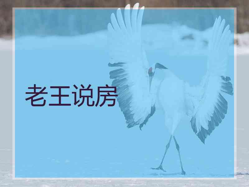 老王说房