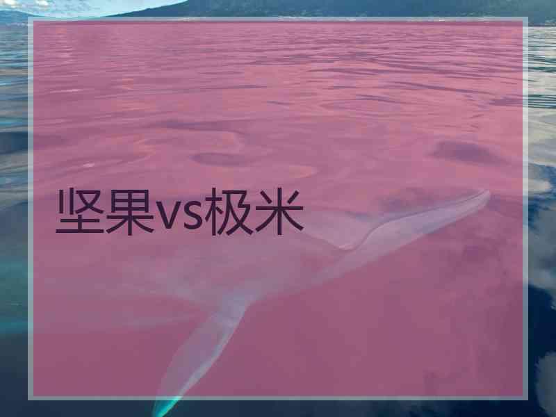 坚果vs极米