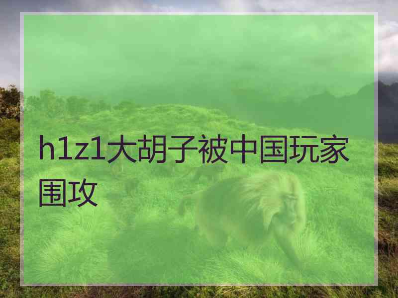h1z1大胡子被中国玩家围攻