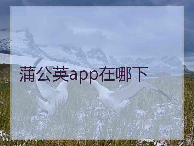 蒲公英app在哪下