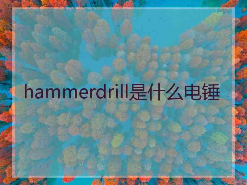 hammerdrill是什么电锤