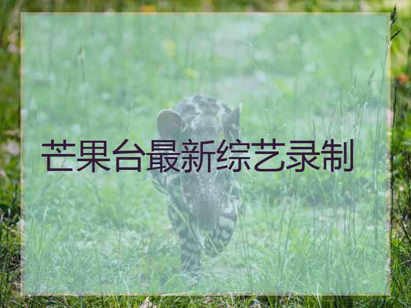 芒果台最新综艺录制