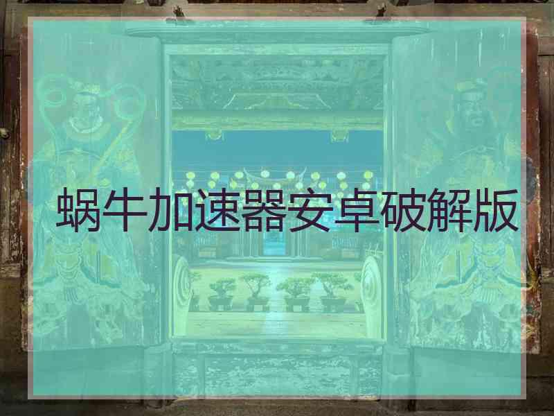 蜗牛加速器安卓破解版