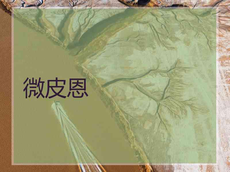 微皮恩