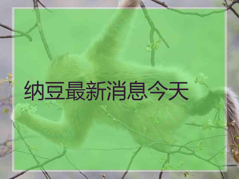 纳豆最新消息今天