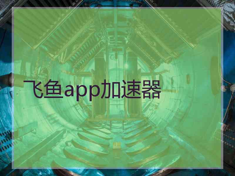 飞鱼app加速器
