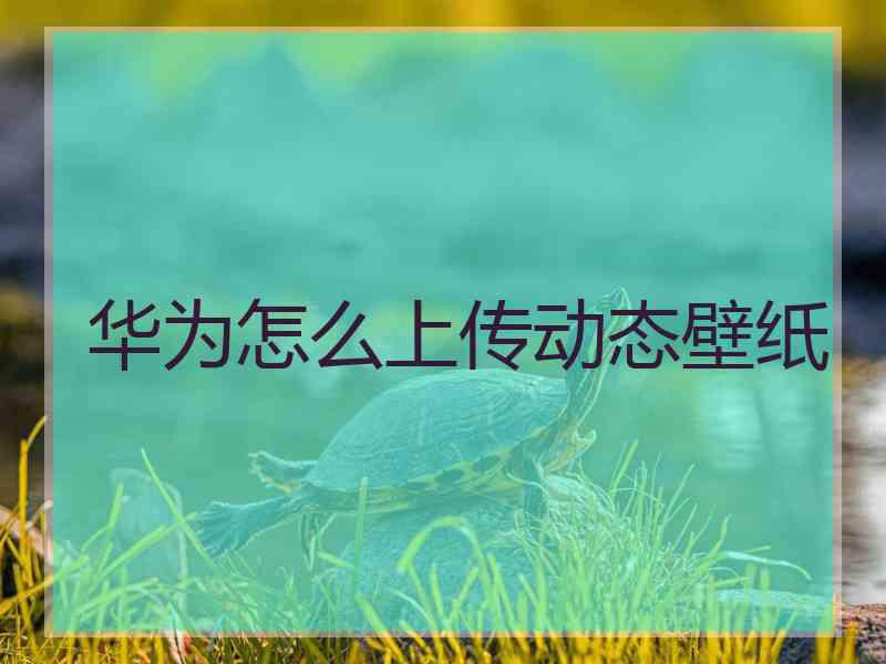 华为怎么上传动态壁纸