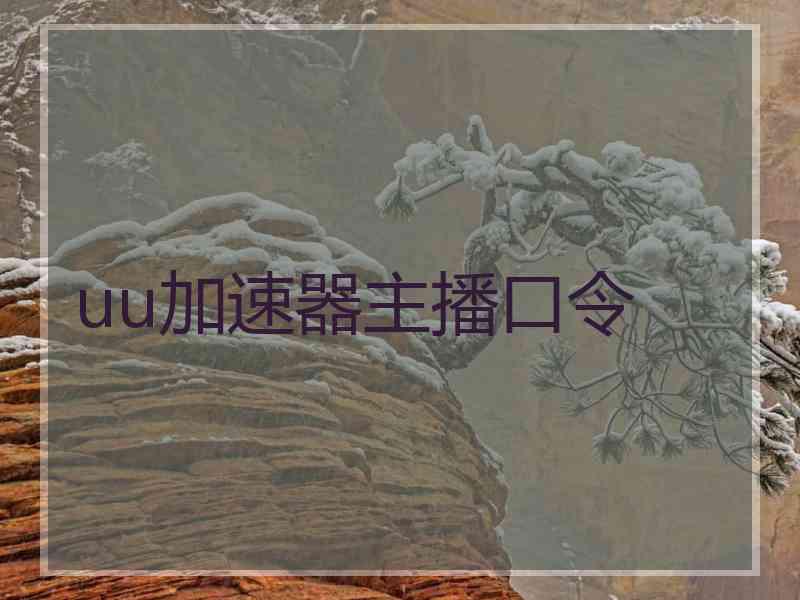 uu加速器主播口令